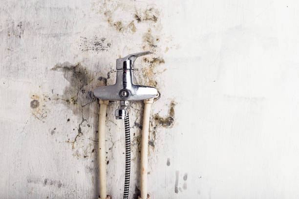 Best Office Mold Removal Services  in Quakertown, PA