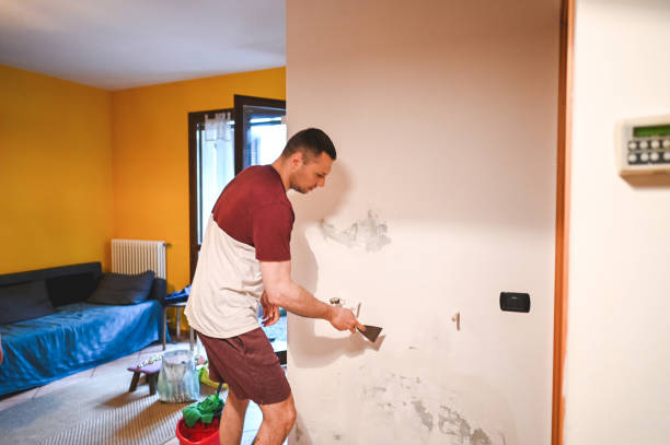Best Crawl Space Mold Removal  in Quakertown, PA
